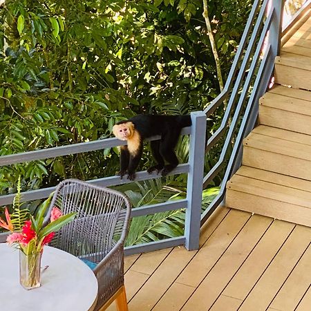Villas En El Bosque Ojochal Εξωτερικό φωτογραφία