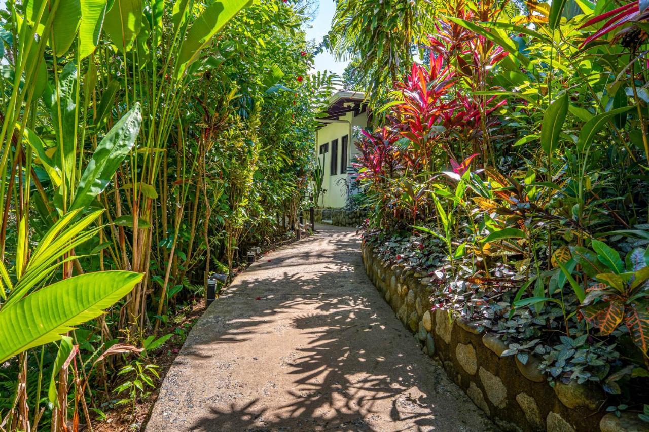 Villas En El Bosque Ojochal Εξωτερικό φωτογραφία