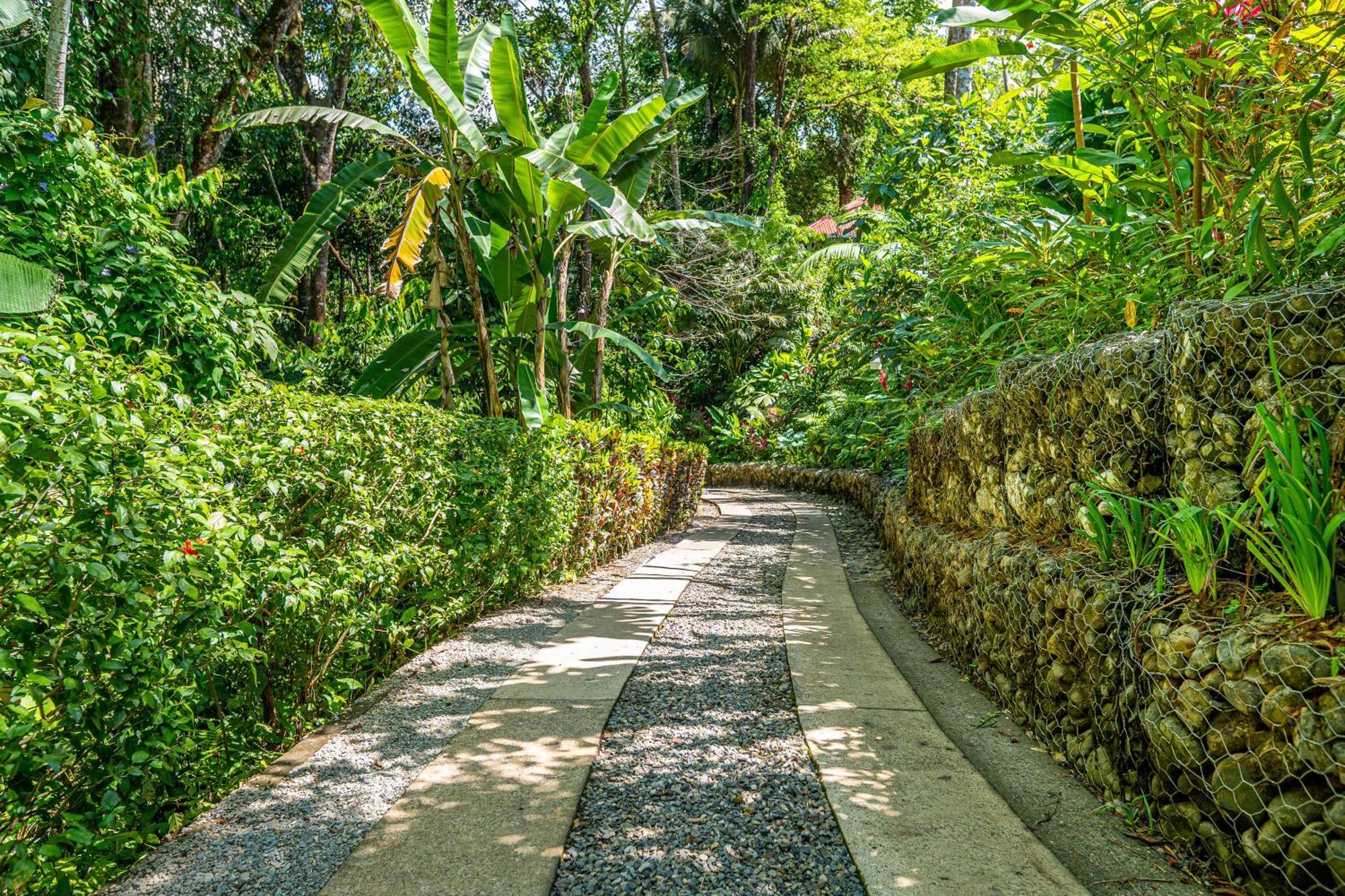 Villas En El Bosque Ojochal Εξωτερικό φωτογραφία