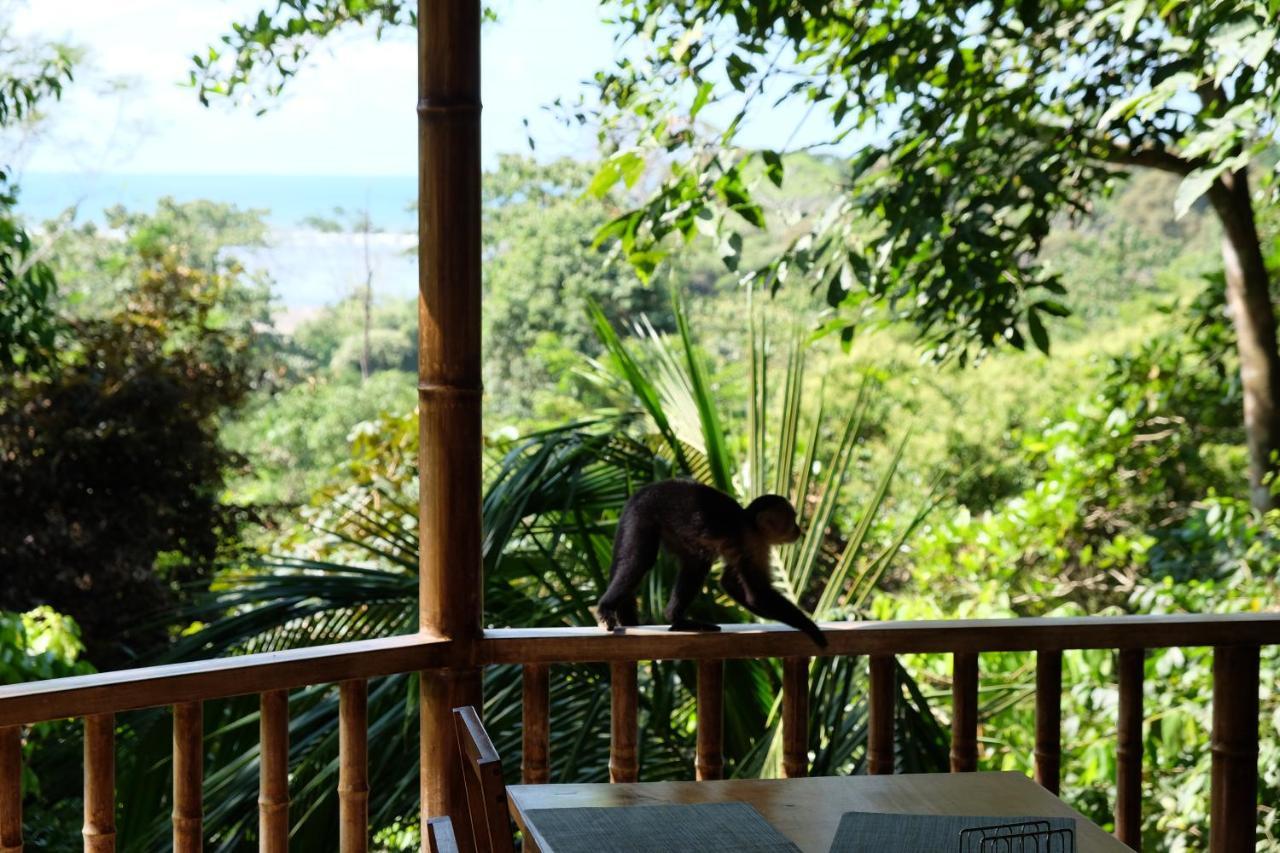 Villas En El Bosque Ojochal Εξωτερικό φωτογραφία