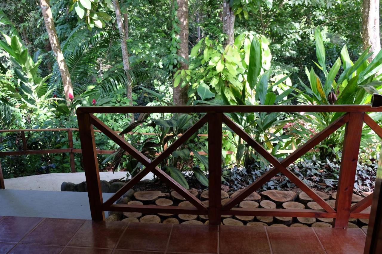 Villas En El Bosque Ojochal Εξωτερικό φωτογραφία